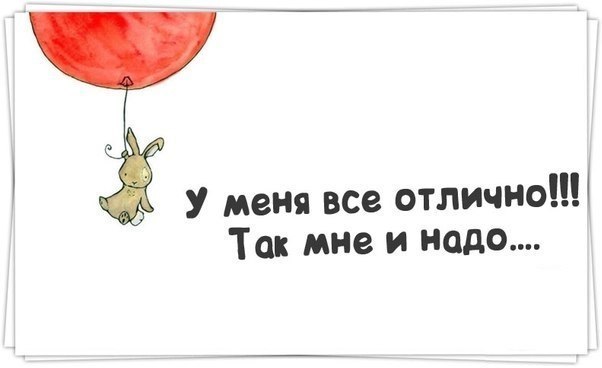 2-4дпп