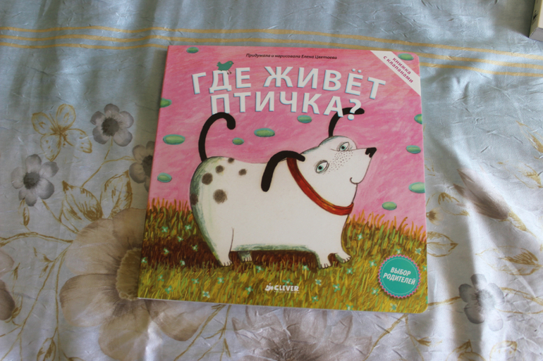 Наша книжная полка