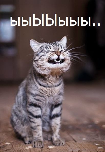 Моя взяла!!!
