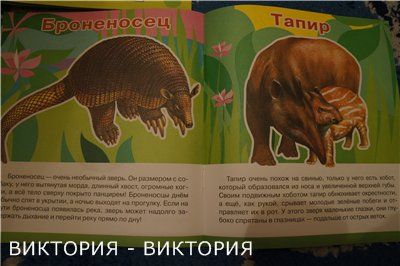 Мини-энциклопедии 2