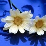 2d70852ba542cbc5215cf5f145d495cc.jpg
