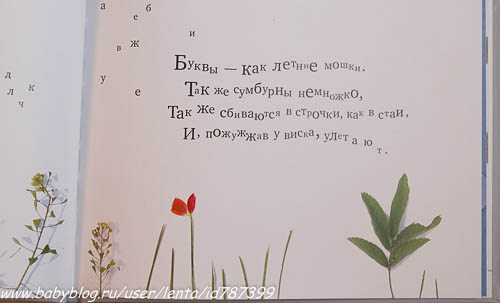 a0885adbd81efed1fe880972acde5865.jpg