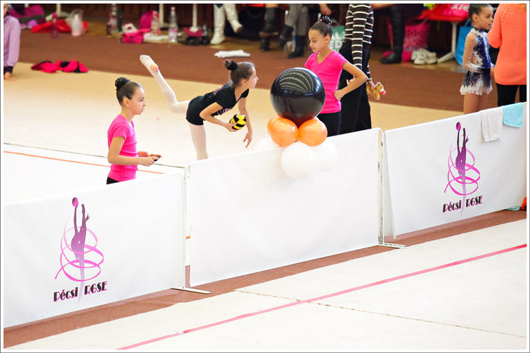 V. Pécs Cup 2013