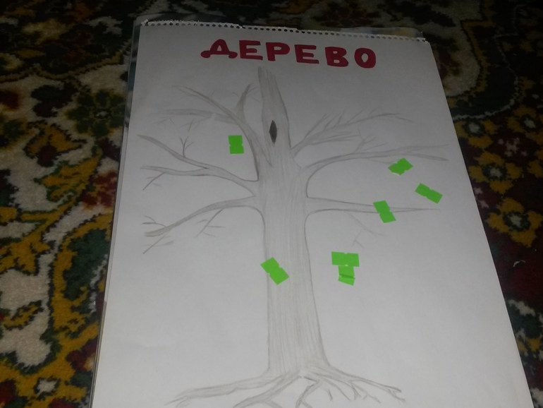 ТН Деревья (наш первый опыт)