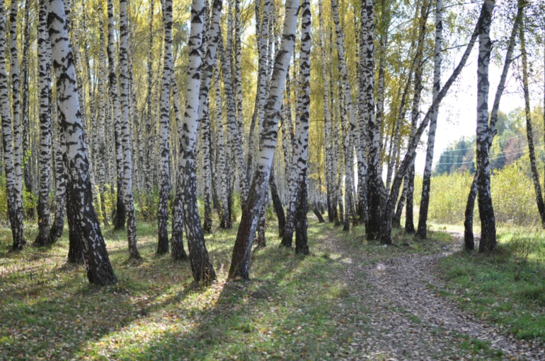 Осень 2013