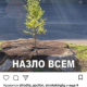 Лия