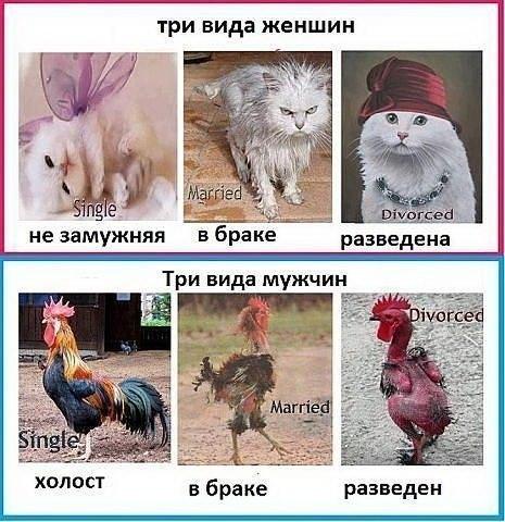 Улыбайся, улыбайся...)))