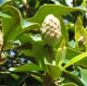 nnn27