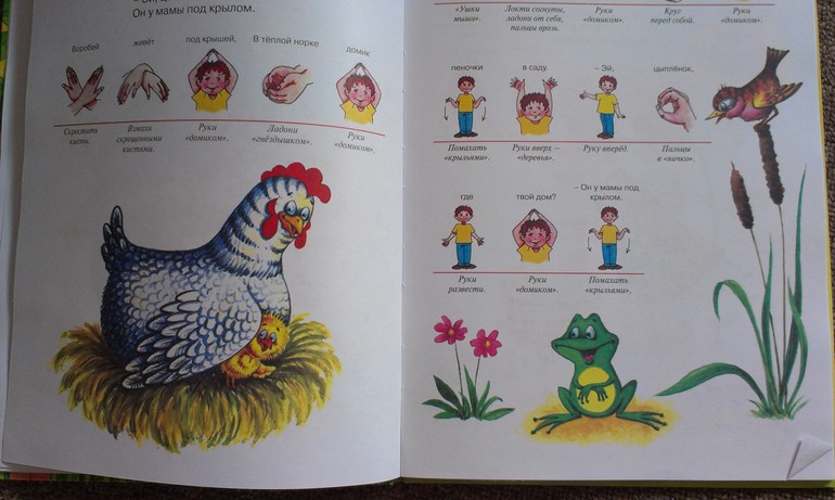 Две книги
