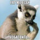 Никита Артемьев