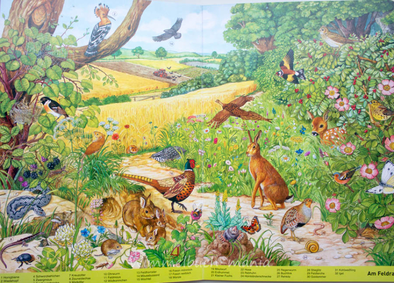 Wimmelbuch mania. Anne Suess. Ч.1