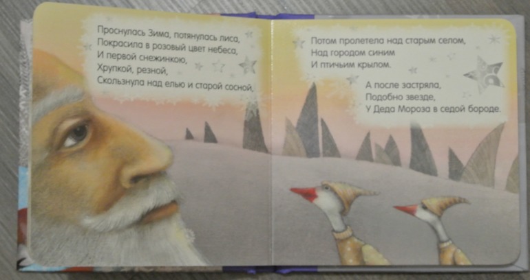 Зимние книги в нашем доме