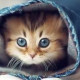 ღღღМаринаღღღ