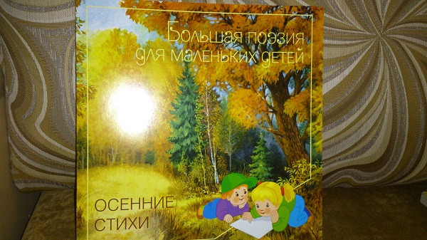 Книжный шкаф: обновки