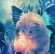 LadyCat
