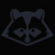Anonymous Racoon