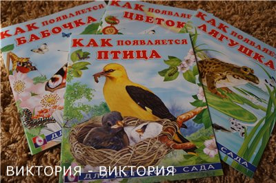 77cc5676baad042a85cfcf821978d50a.jpg