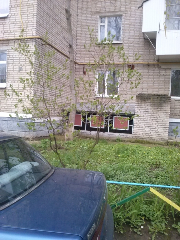 А за вікном...майже весна)))))))))