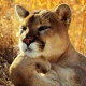 Liliya