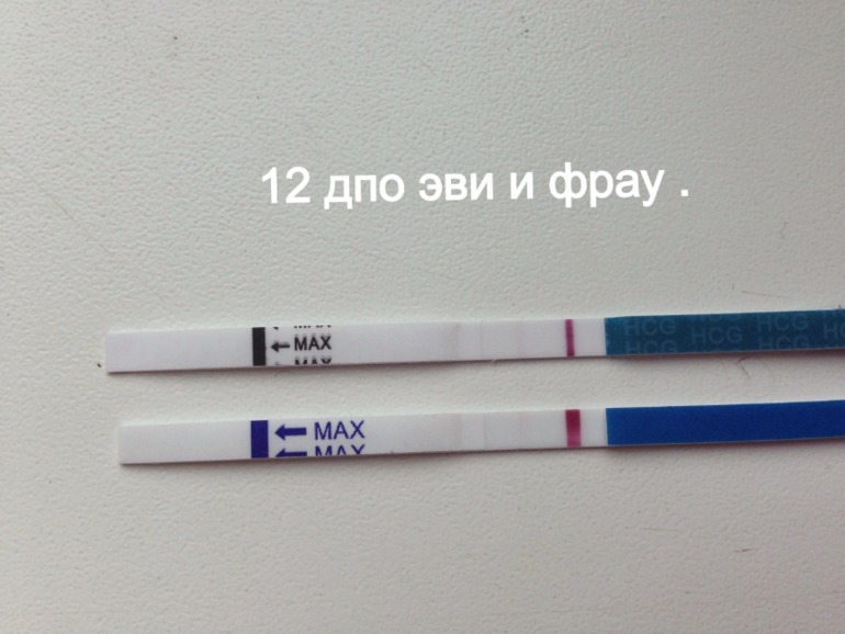 День два теста фрау и эви 12 дпо