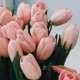 Наталья Валерианова