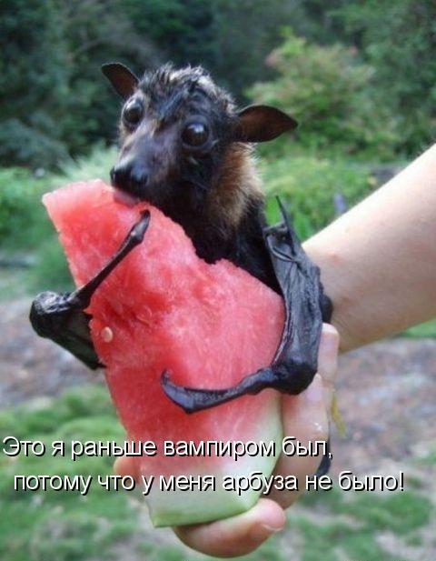 Улыбайся, улыбайся...)))