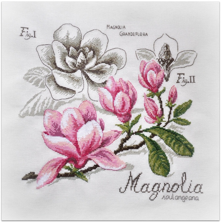 Магнолия, Véronique Enginger