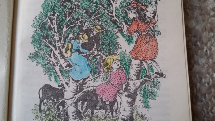 Астрид Линдгрен. Часть 2 Мадикен и Пимс из Юнибаккена