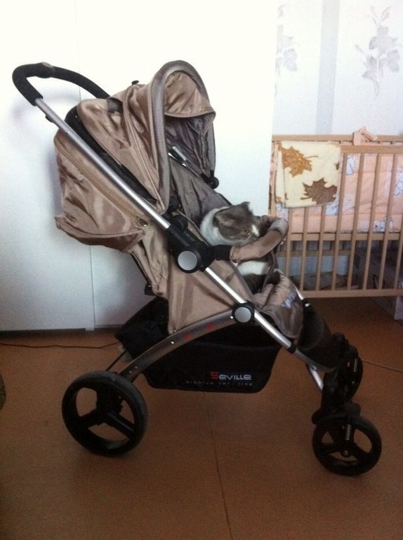 Baby Care Seville обзор