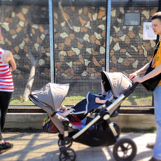 Продаю коляску (для погодок или двойни) из США Baby Jogger City Select за 25000