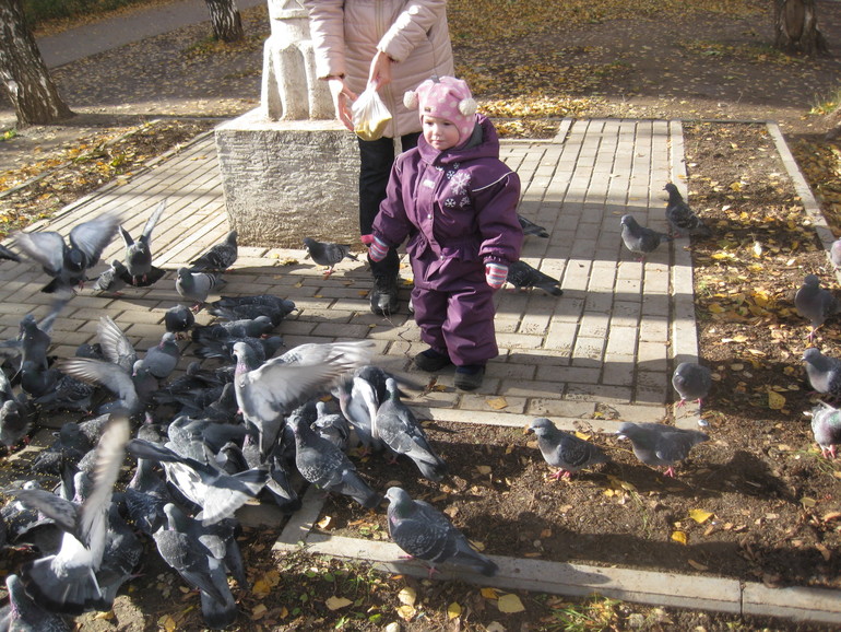 7faa00ac5bcd6f84d7f3621901239bcc.jpg