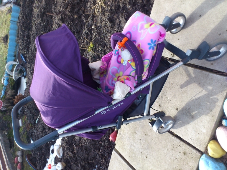 наша Cybex Callisto