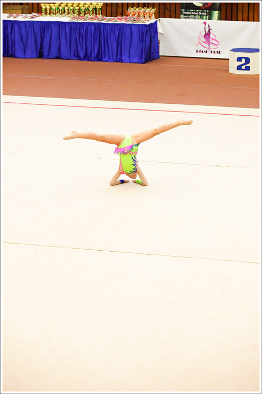 V. Pécs Cup 2013