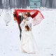 Елена Ермолаева
