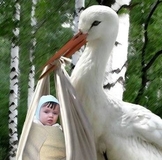 АПРЕЛЬские экошечки! Поддержите друг друга!
