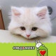 Марина Матрёшкина