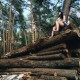 Дарья Самохвалова