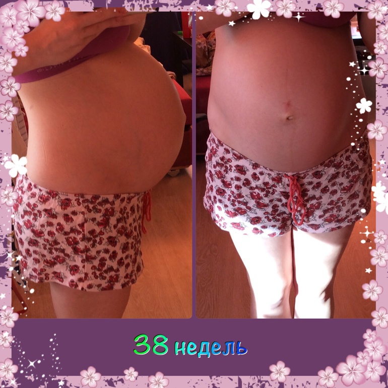 38 недель