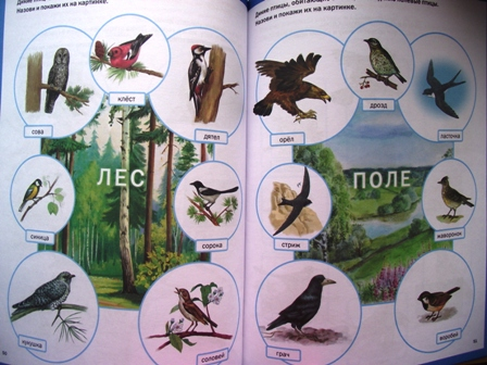 ТН