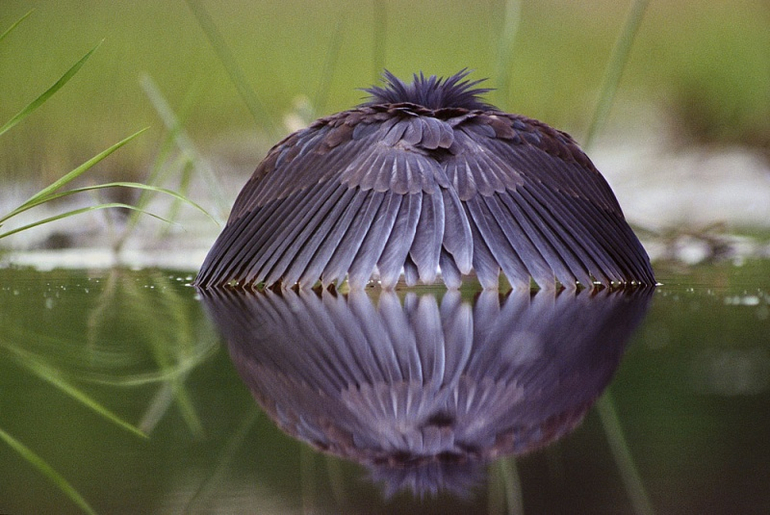 Лучшие фотографии марта