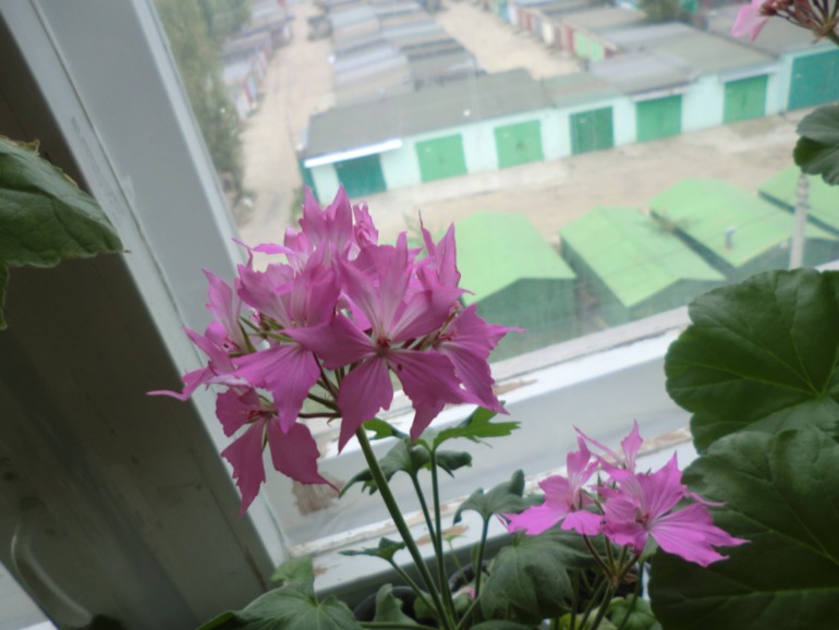 a4e10673cbd16a1f15d48356ff679018.jpg