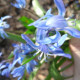 Марина