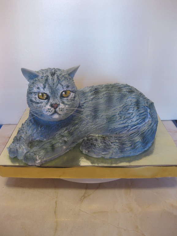 Кот