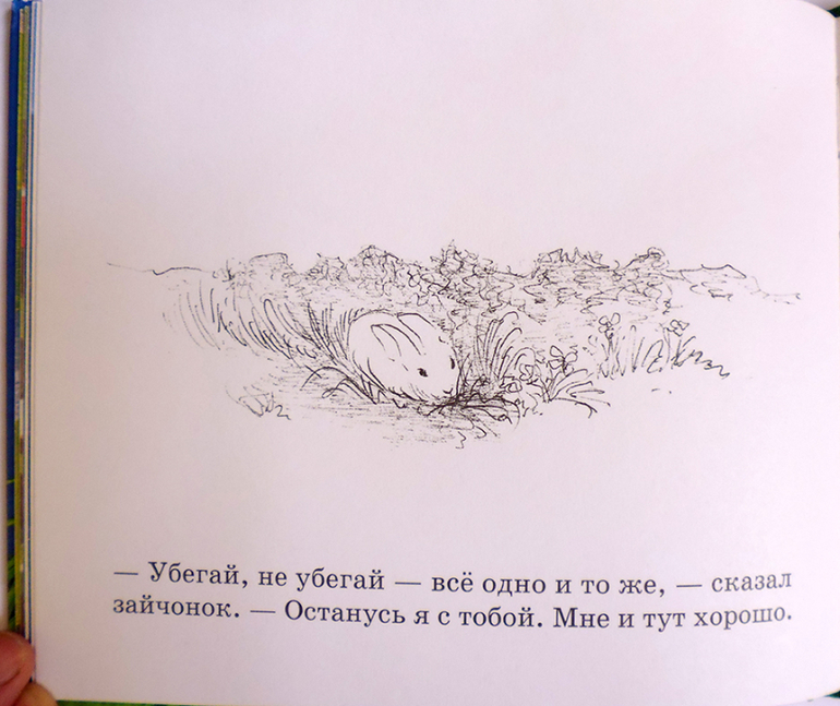 Все о кролике Питере и другие наши зайцы-иностранцы