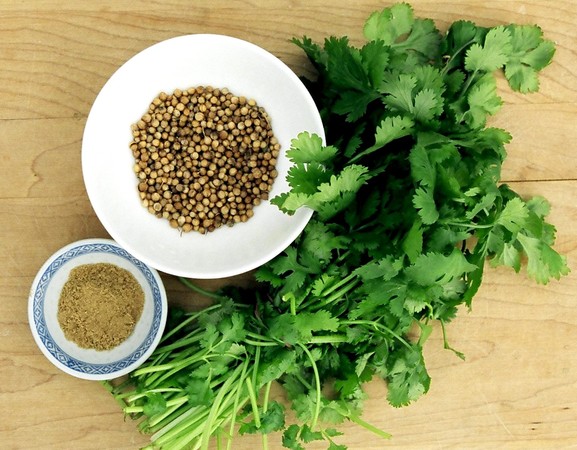 Отчет Зеленая кулинария - ЗНАКОМСТВО