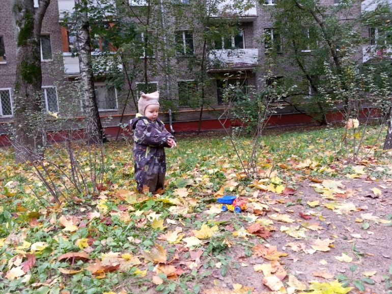 Немного мобильной осени...