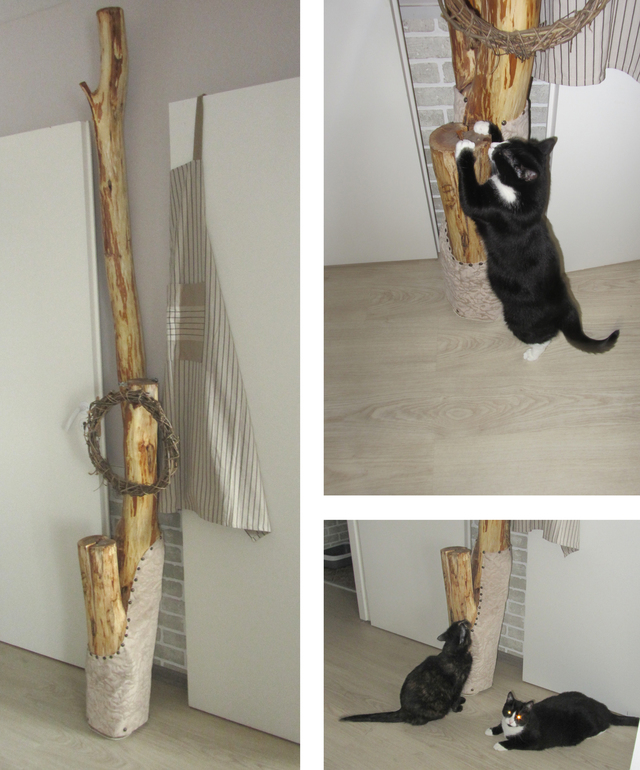 Когтеточка. (Scratching post.) | форум Babyblog