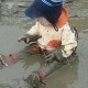 Ксенич