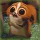 grogozhan