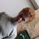PapaRufus